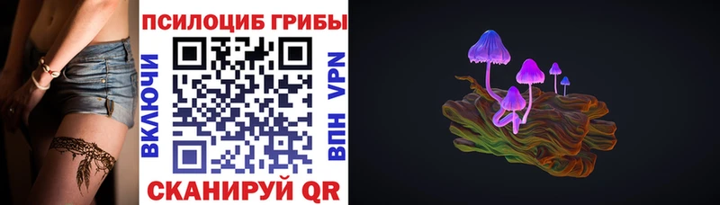 Псилоцибиновые грибы Cubensis  наркошоп  Шарья 